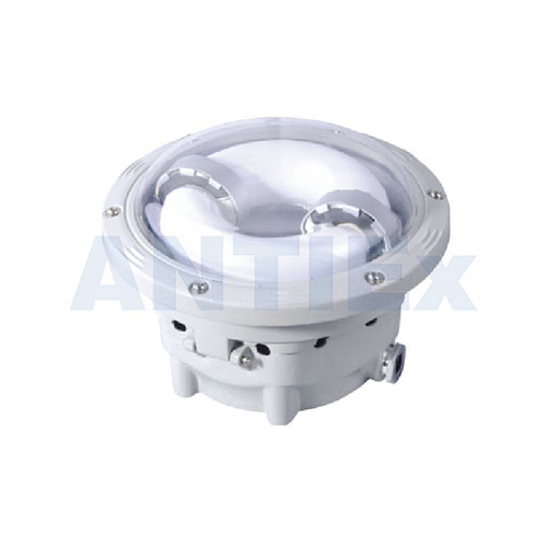 ZGF702 Longevity Ceiling Light
