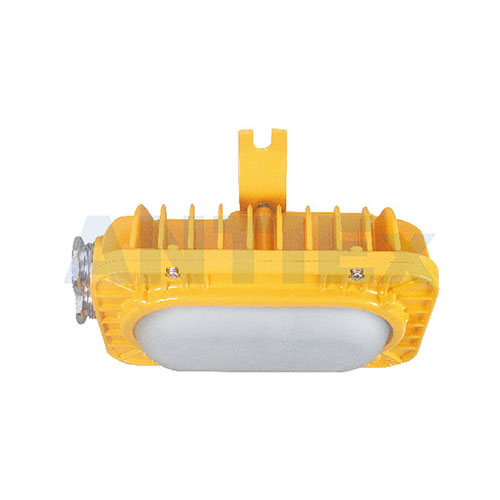 ZBD124 LED maintenance-free explosion-proof lamp