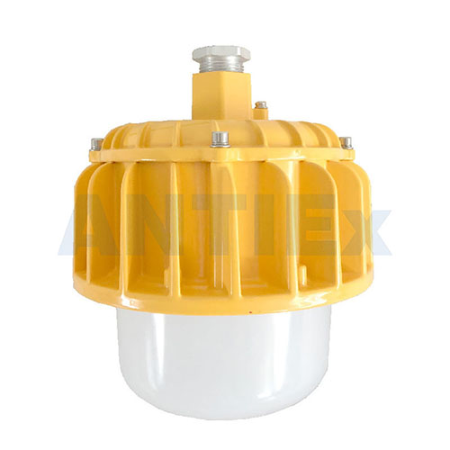 ZBD131 LED Explosion-proof platform light