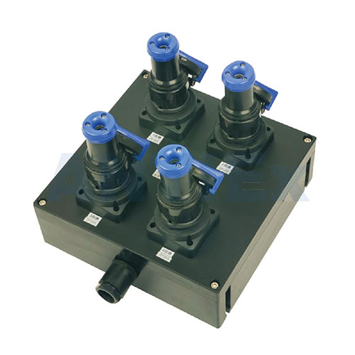 BXX8050 Explosion-proof and anti-corrosion plug and socket box(IIC)