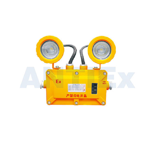 BAJ52 Explosion-proof emergency light