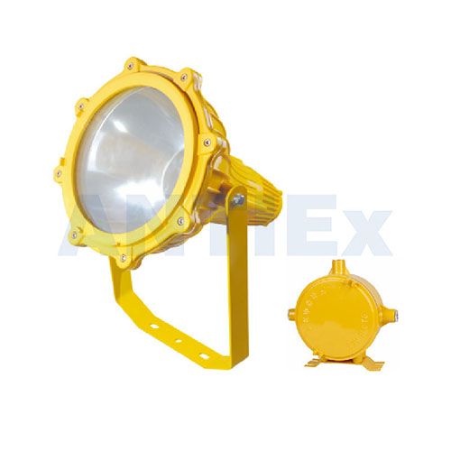 ZBF815 Explosion-proof flood light