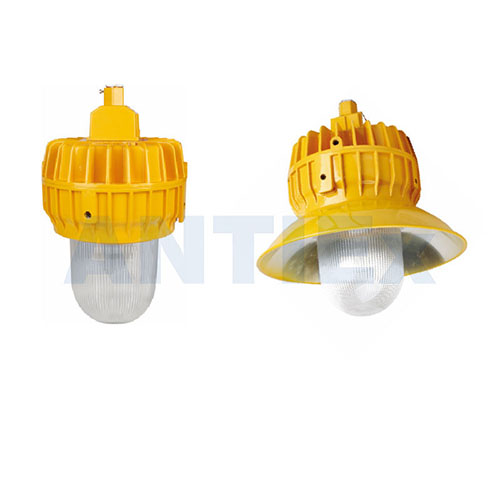 ZBF805 Explosion-proof platform light
